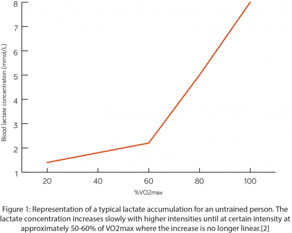 training graph 1