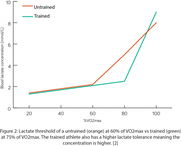 training graph 2